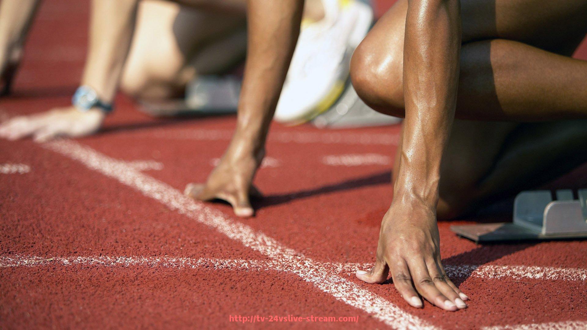 24VS体育直播-世俱杯赛事赞助项目预算管理制度建设与执行难点分析