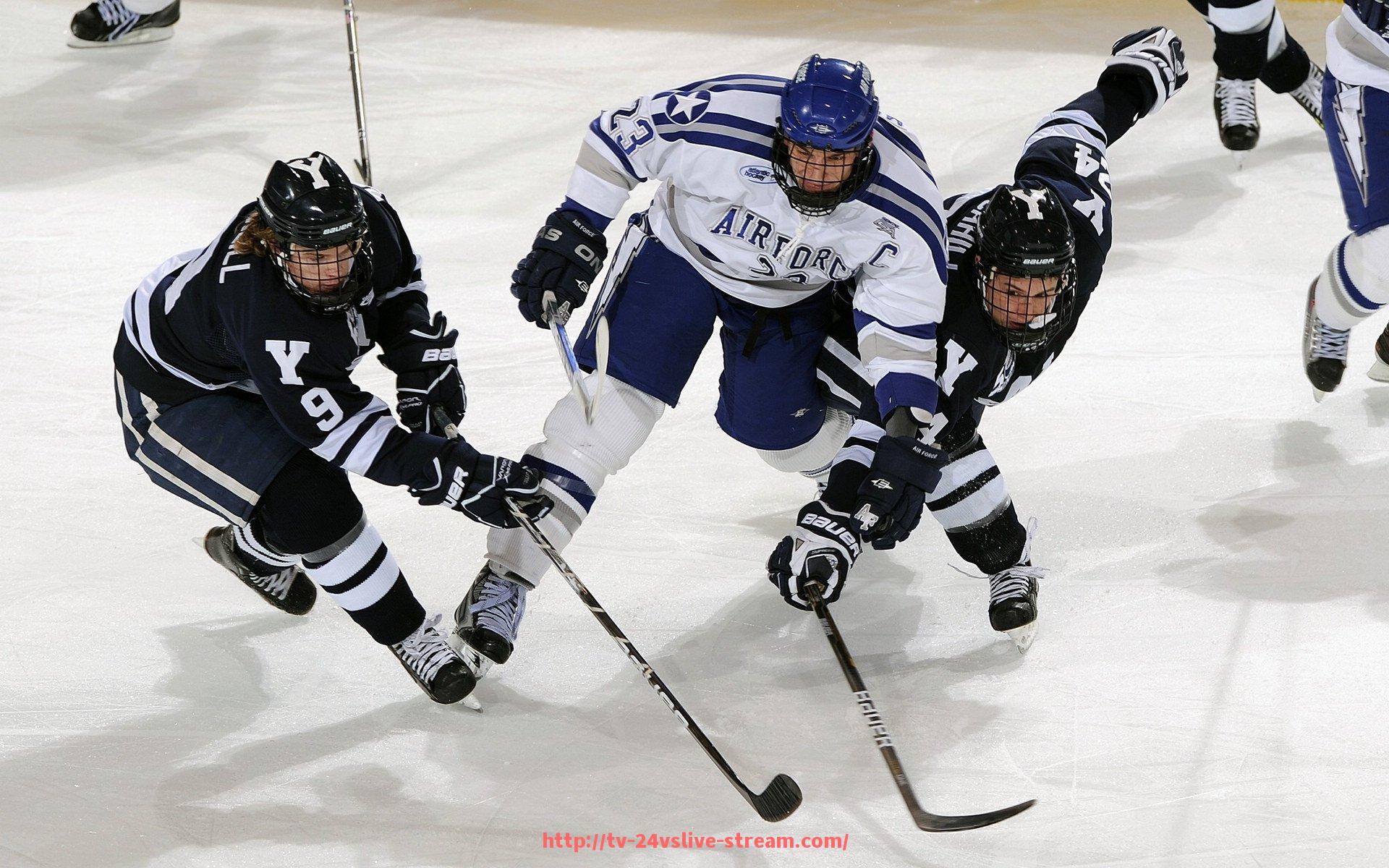24VS体育直播-世俱杯赛事赞助项目预算管理制度建设与执行难点分析